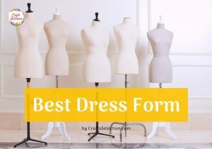 Best Adjustable Dress Form